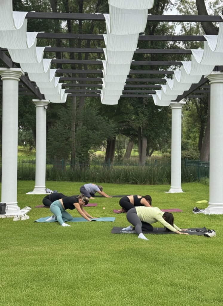 Clases de yoga