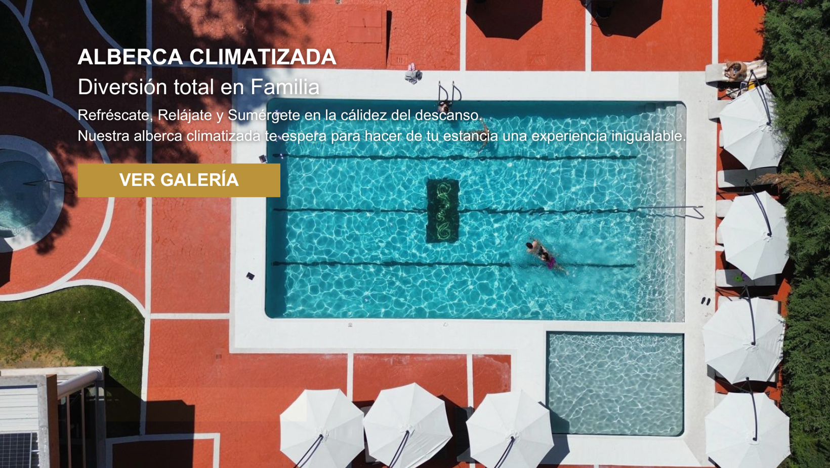 Alberca Climatizada del Hotel Real del Bosque