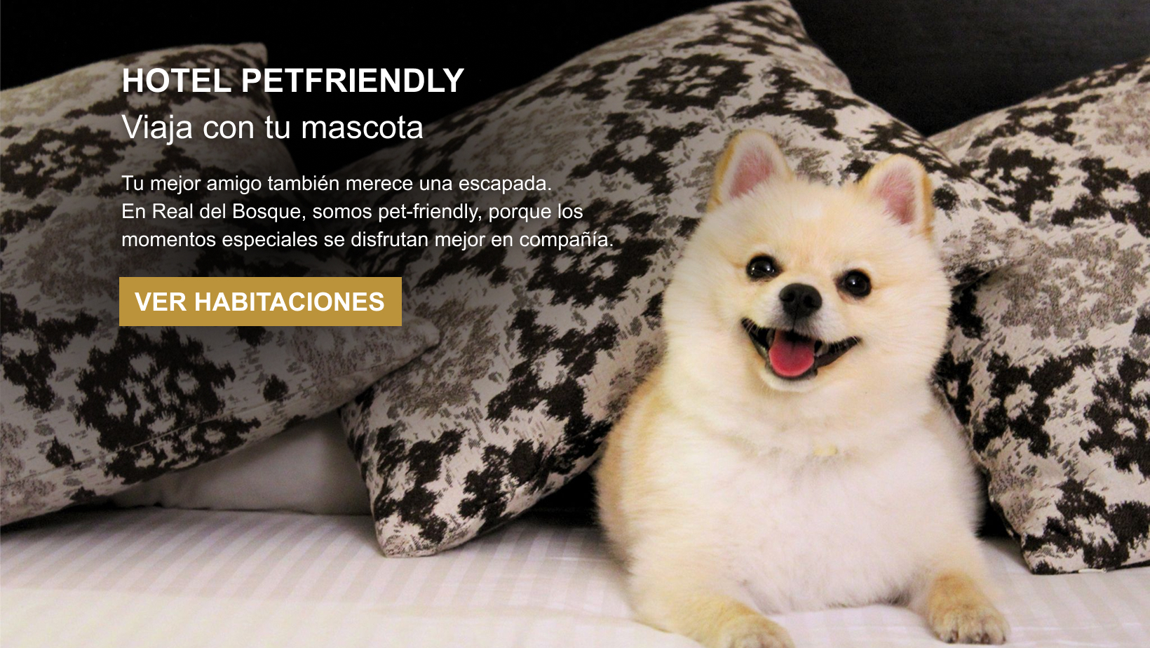 Hotel Real del Bosque Pet Friendly